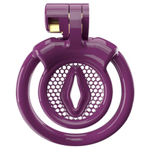 Load image into Gallery viewer, Purple Resin Clitty Dungeon