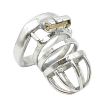 Load image into Gallery viewer, Stainless Steel Chastity Cage For Males