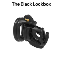 Load image into Gallery viewer, Beginner Cage Bundle: Cucky Hubby + Black Lockbox (15% Bundle Discount)