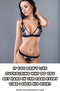 Chastity and Cuckold Captions eBook Volume 7 (PDF) - 100 Naughty Femdom Captions!