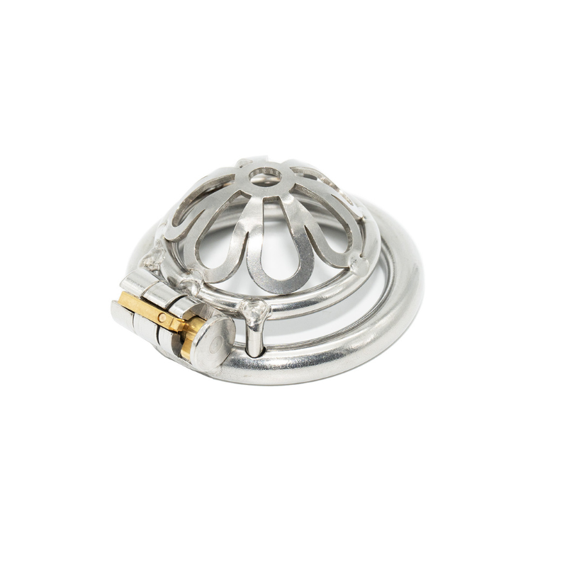 The Hotwife Cage Micro Steel Chastity Belt 20 Mm Cuck In Chastity the-hotwife-cage-micro-steel-chastity-belt-20-mm-cuck-in-chastity