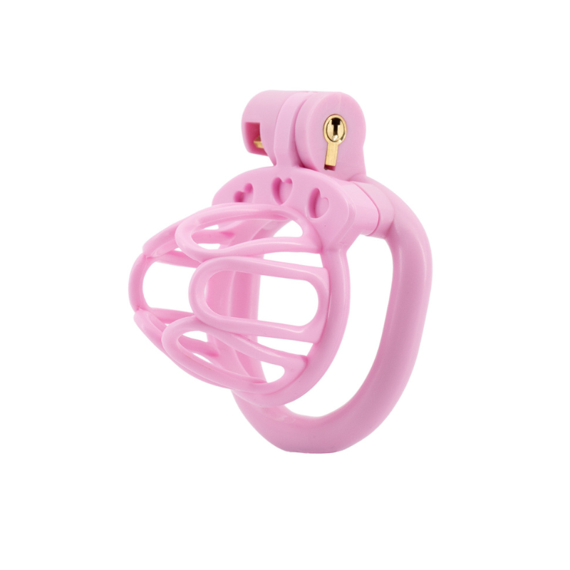 Pink The Pussy-Free Beta: Resin Cock Cage