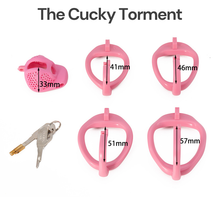 Load image into Gallery viewer, Cucky Torment + Sissy Torment (15% Bundle Discount)