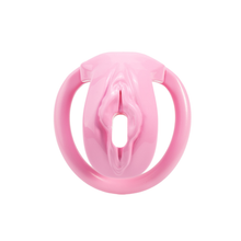 Load image into Gallery viewer, Pink Pussy Cock Cage