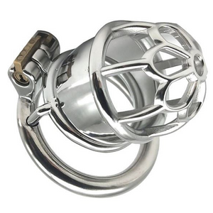 Stainless Steel Metal Chastity Device