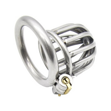 Load image into Gallery viewer, Micro Stainless Steel Chastity Cage
