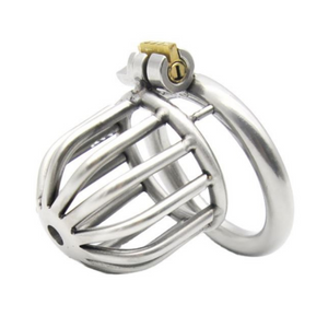 Small Metal Chastity Cage For Men