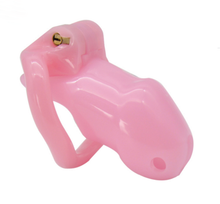Load image into Gallery viewer, pink holy trainer chastity cage