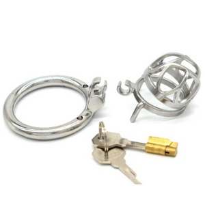 Small Chastity Belt In Stainless Steel