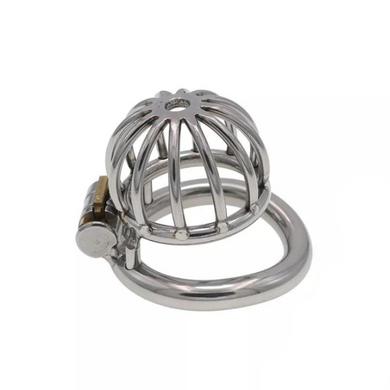 The Cuckold Penitentiary Micro Steel Chastity Device (32 mm)