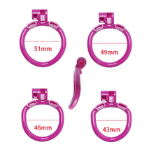 Load image into Gallery viewer, Purple Chastity Cage Rings